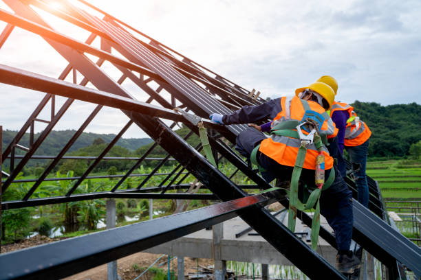 Roof Gutter Cleaning in Plainview, MN